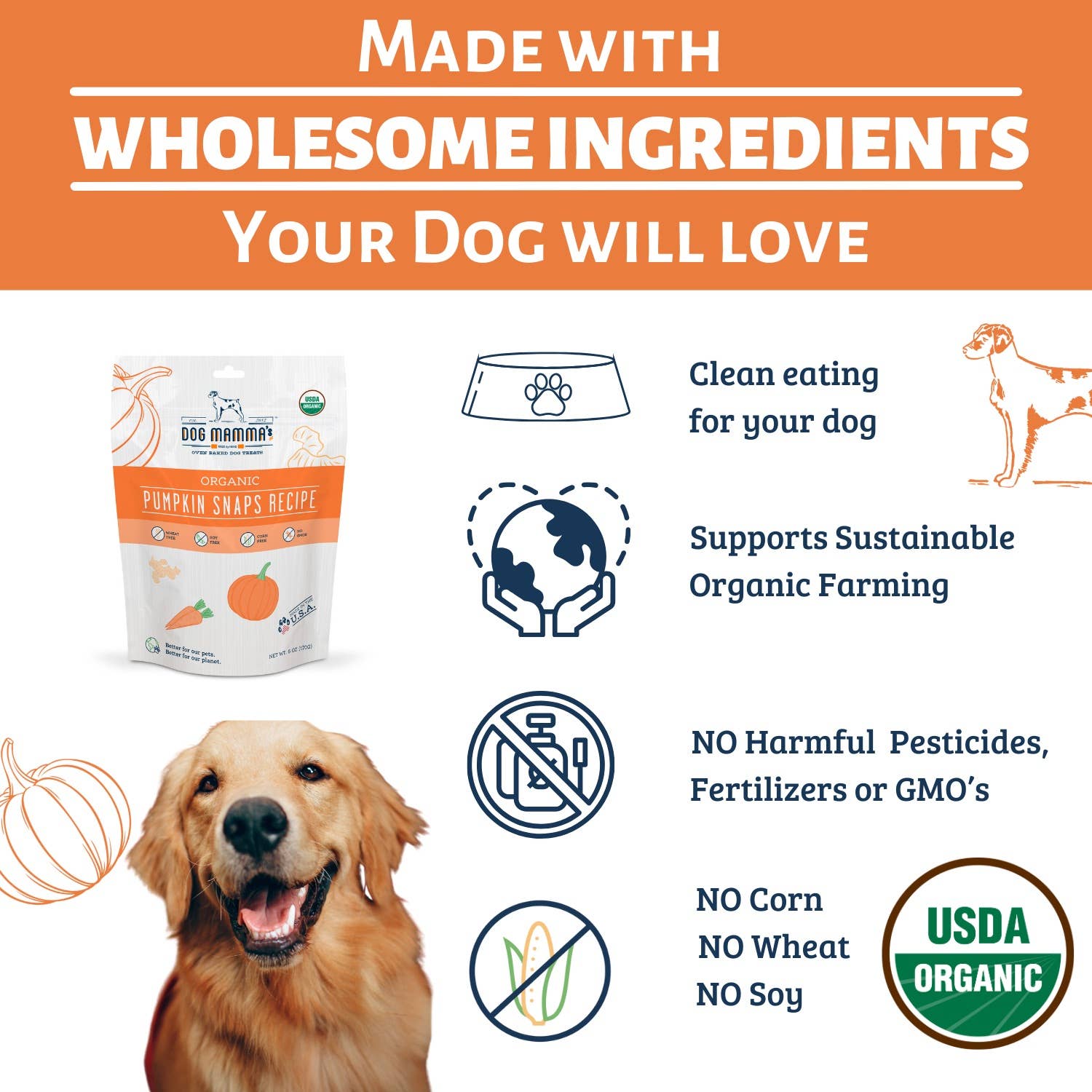 Dog Mamma's LLC - Wholesale Pet Treats - Dog - Organic Pumpkin Snaps Recipe - Gourmet Dog Treats 2