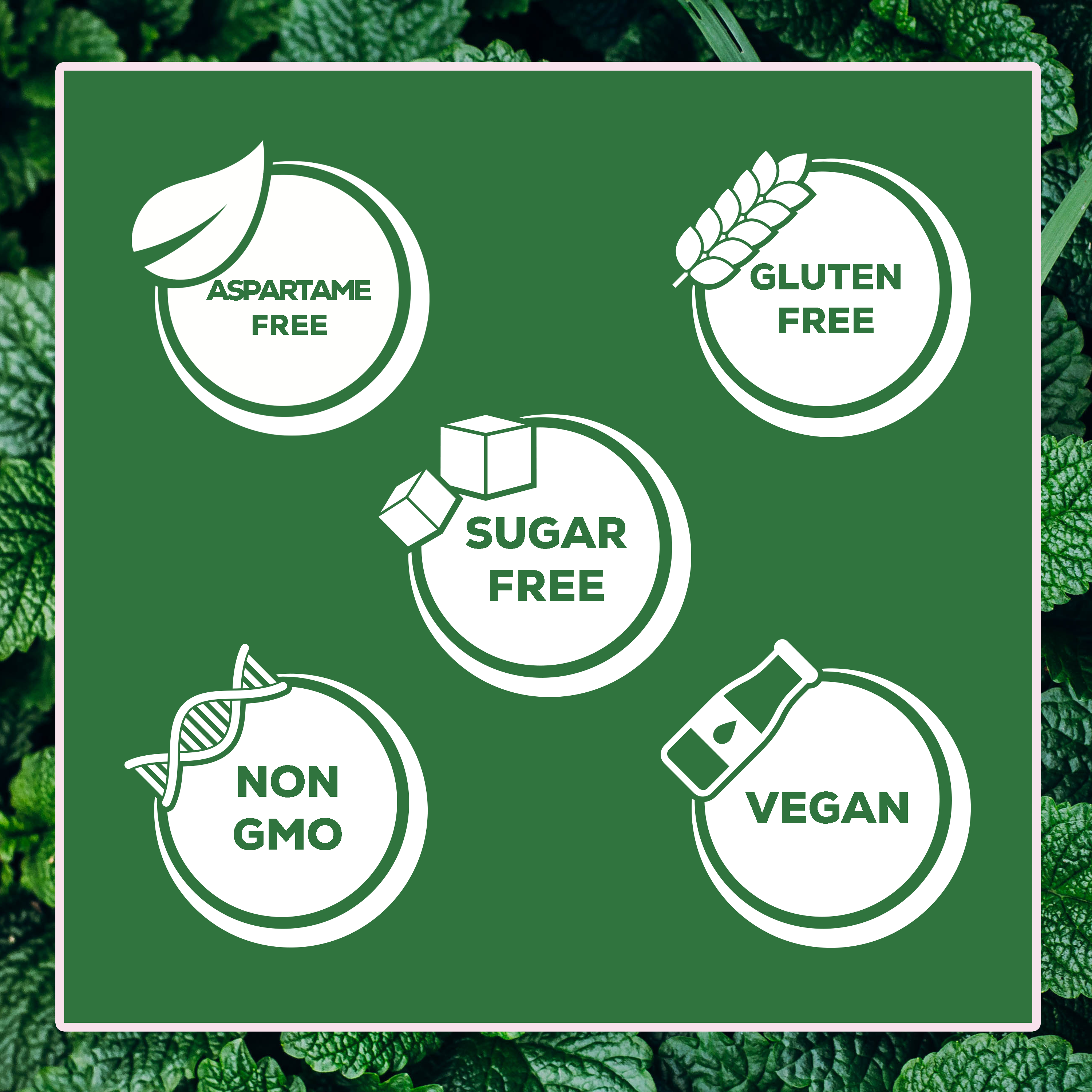 Focus Nutrition - Wholesale Chewing Gum - XyloBurst Spearmint Gum Blister Pack (Tray of 12 Cards)2