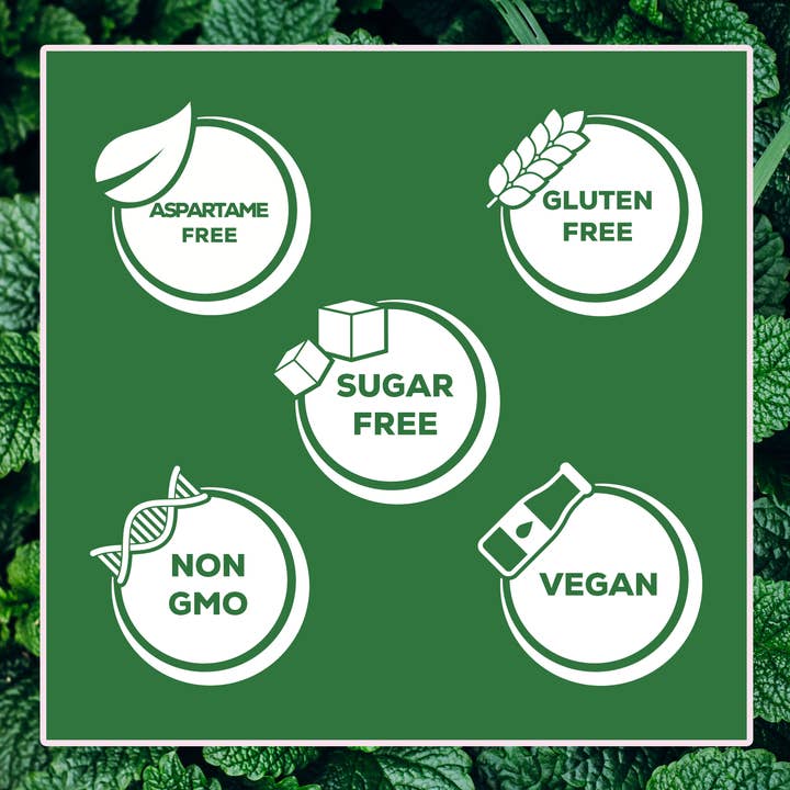 Focus Nutrition - Wholesale Chewing Gum - XyloBurst Spearmint Gum Blister Pack (Tray of 12 Cards)2