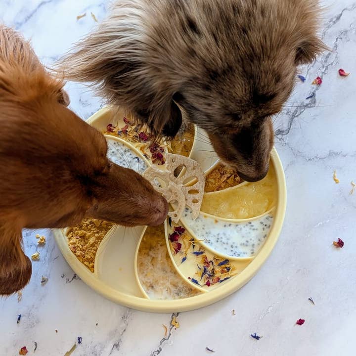 ollie b. good - Wholesale Pet Food Mat - Dog - wheelies lick mat & lid | buttercup2