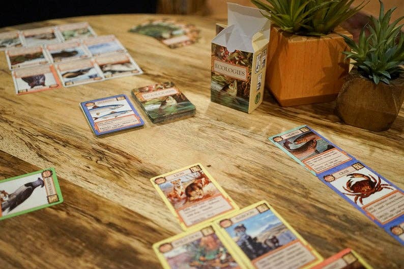 Organisateur de jeu de cartes en faux livre pour jeu de cartes écologiques  par Montrose Biology avec fermeture magnétique cachée et séparateurs  internes pour le stockage -  France