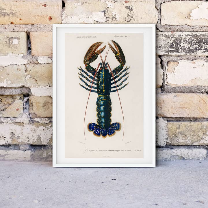 Framed Vintage Lobster Print for wholesale by Lelloliving