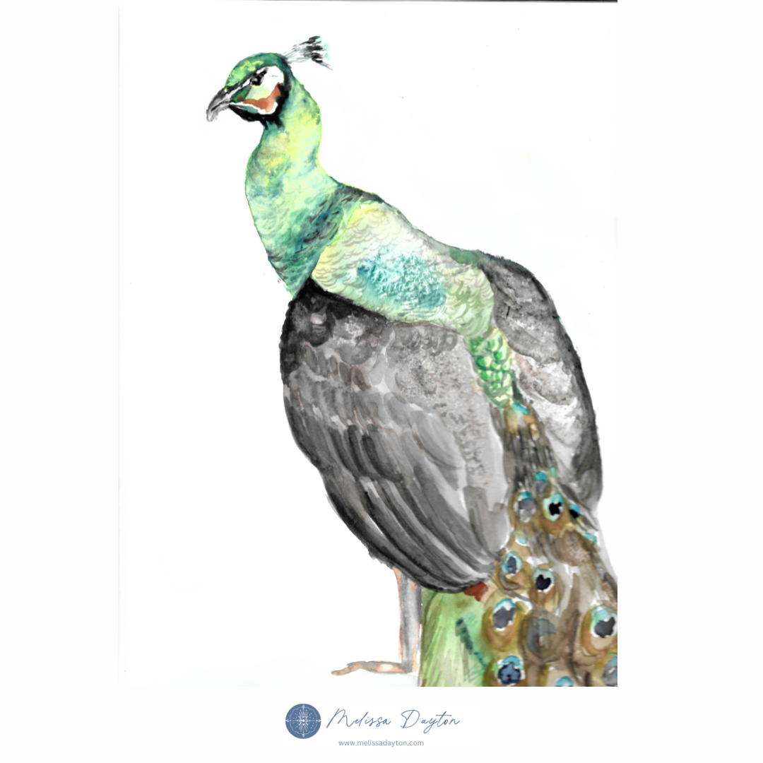 Melissa Dayton Art and Design - Wholesale Gallery Wall Set - Coastal Watercolor Gallery Wall Sets - Curated Giclee Prints5