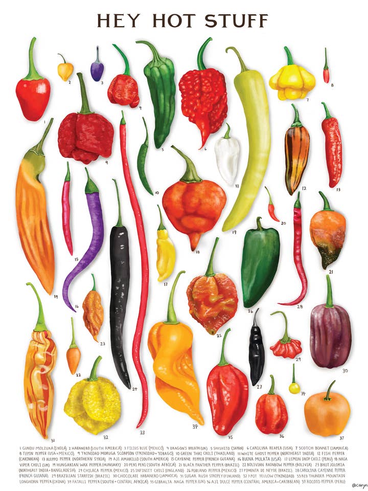 Ehi, roba piccante — stampa peperoncino per la vendita all'ingrosso da parte di Caryn Cast Art