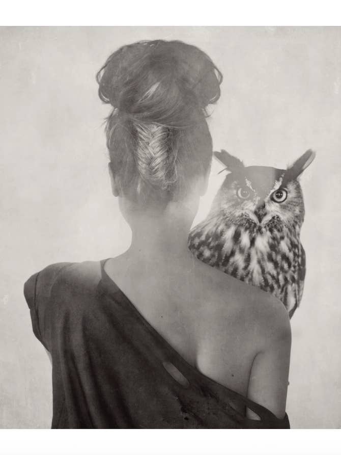 Historien om sinnena – Från fågelserien för wholesale av Love Warriors