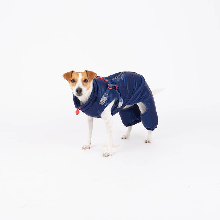 Nova Detachable Full Body Winter Dog Jacket compatible with Maximus Harness for wholesale by Silver Paw