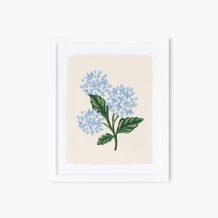 Hydrangea Bloom Cream Art Print for wholesale by Rifle Paper Co.