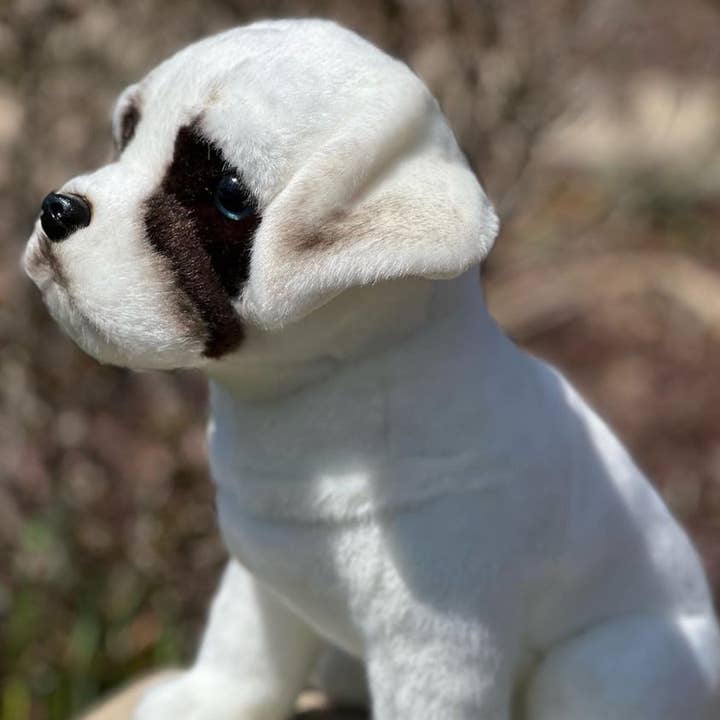 Auswella – wholesale Stuffed/plush toy – Kids & baby – Auswella Plush Zander Plush White Boxer