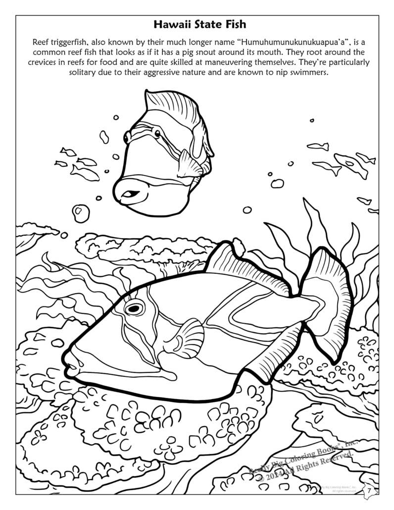 Really Big Coloring Books | ColoringBook.com - Wholesale Coloring & Activity Book - Kids & Baby - Hawaii State Coloring Book 8.5 x 111
