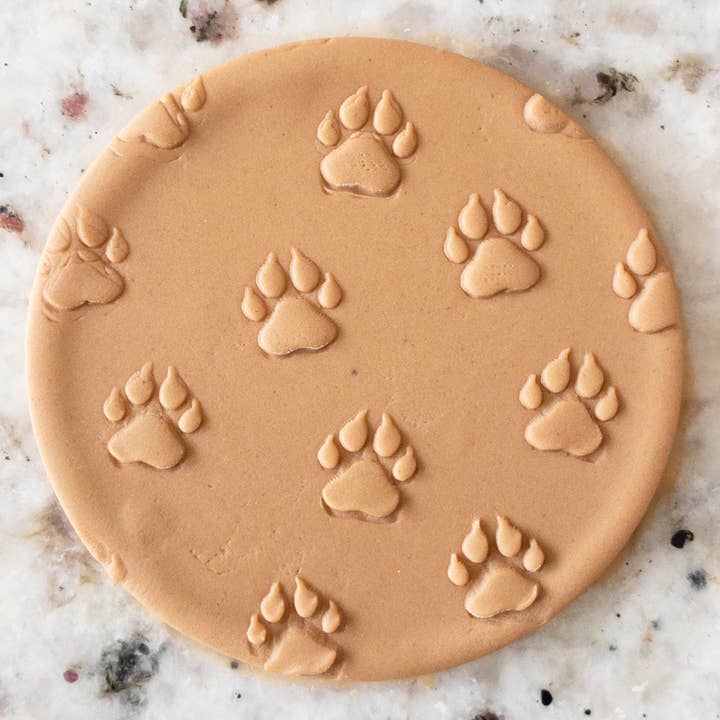 Paw Print Cookie Biscuit POPup Stamp for wholesale by Cut Bake Stamp