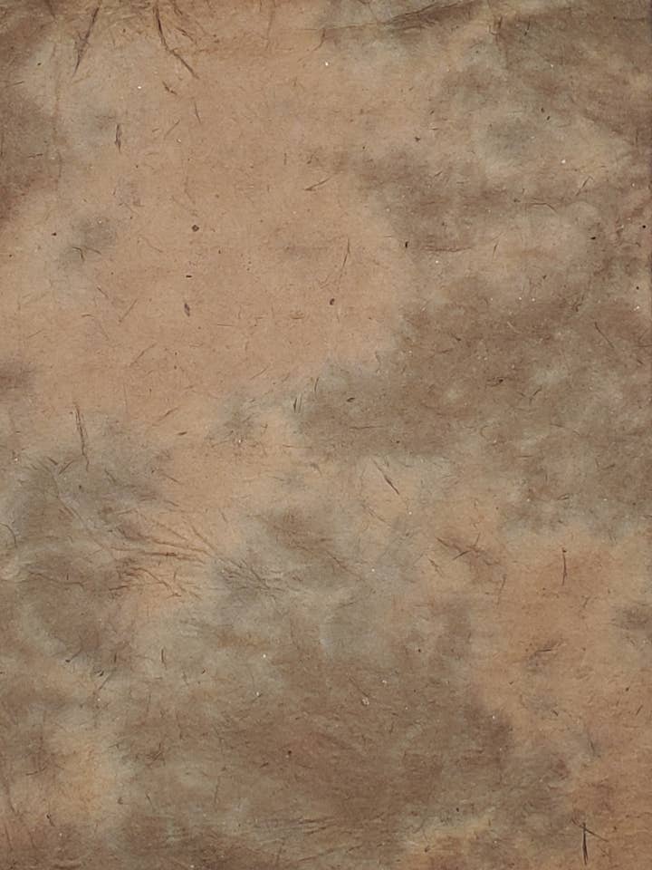 Lokta Pinto Aged Leather for wholesale by Aitoh Company