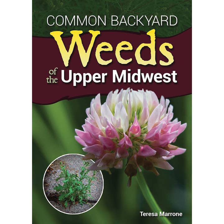 AdventureKEEN - Wholesale Book - Adult - Common Backyard Weeds of the Upper Midwest
