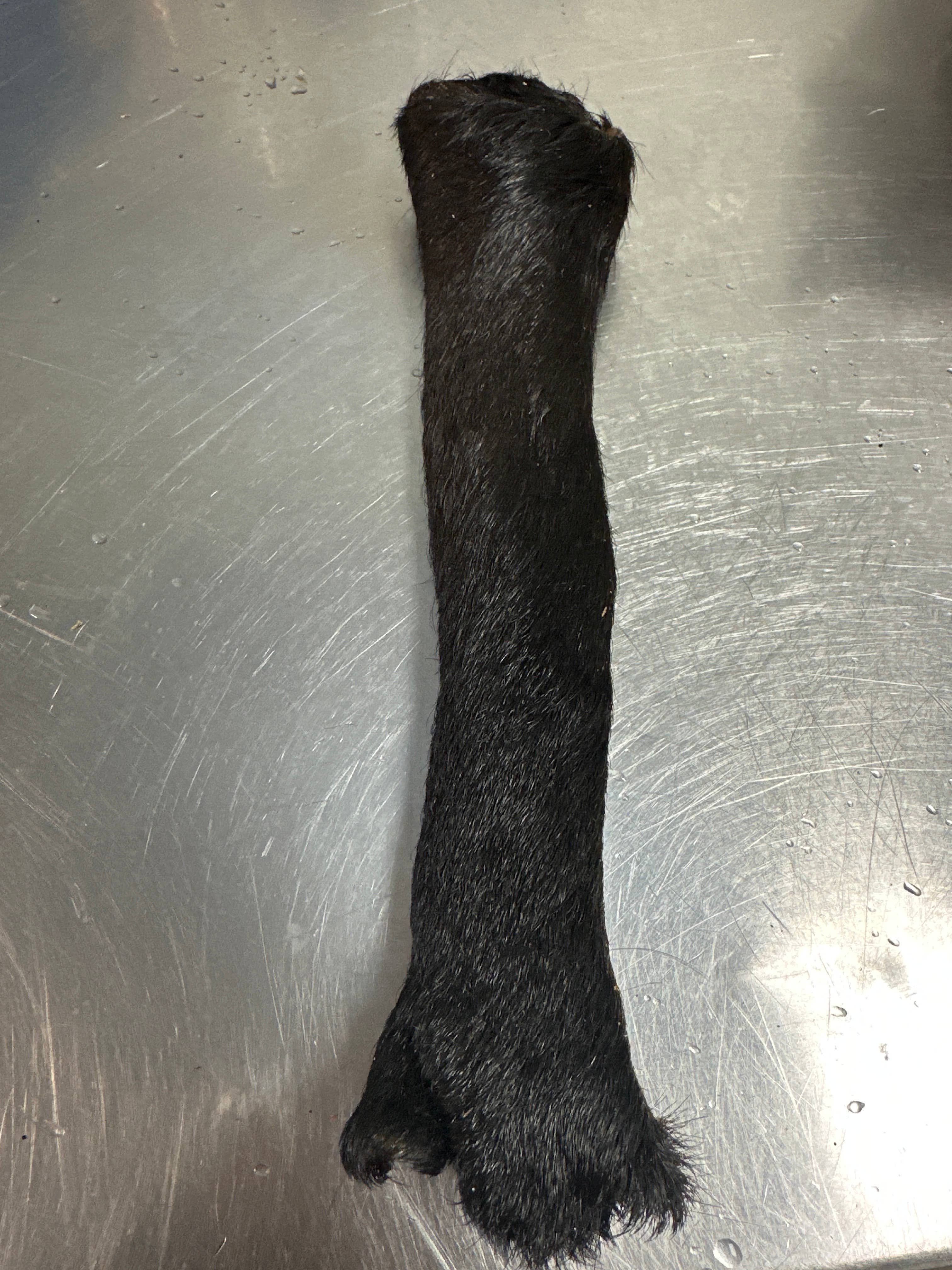 Tapia raw meats for pet food - Wholesale Pet Treats - Dog - Cow Hide Roll 1