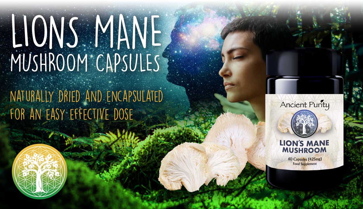 Ancient Purity – wholesale Oral supplement/vitamin – Lion's Mane Mushroom 60 x 425mg Capsules | Organic UK Grown1
