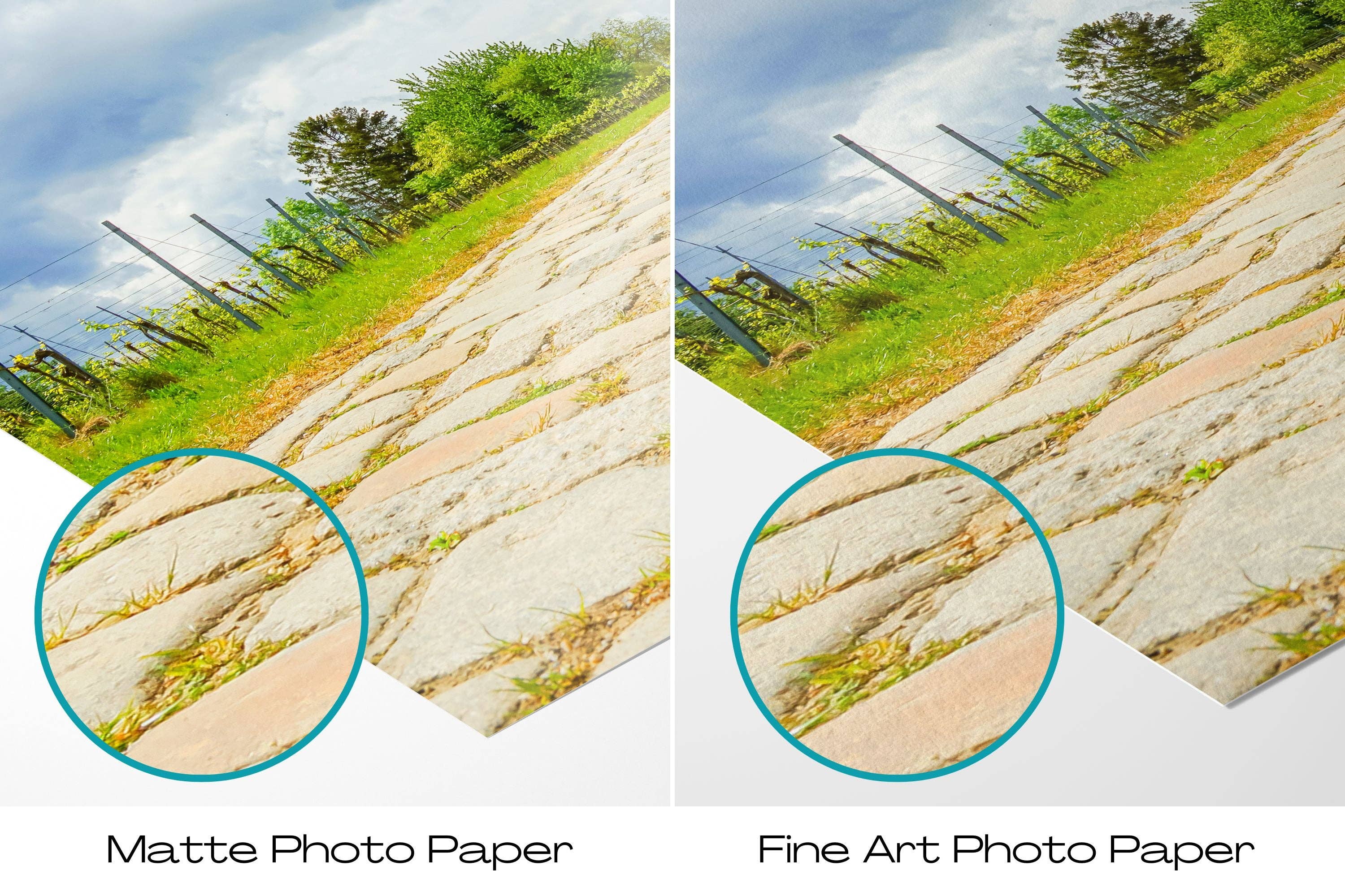 Natasha Riha Photography - Wholesale Photograph - Weinberge | Fine Art Fotodruck5