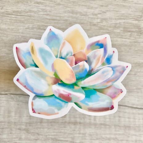 Sticker arc-en-ciel succulent aquarelle pour la vente par Hey Dana
