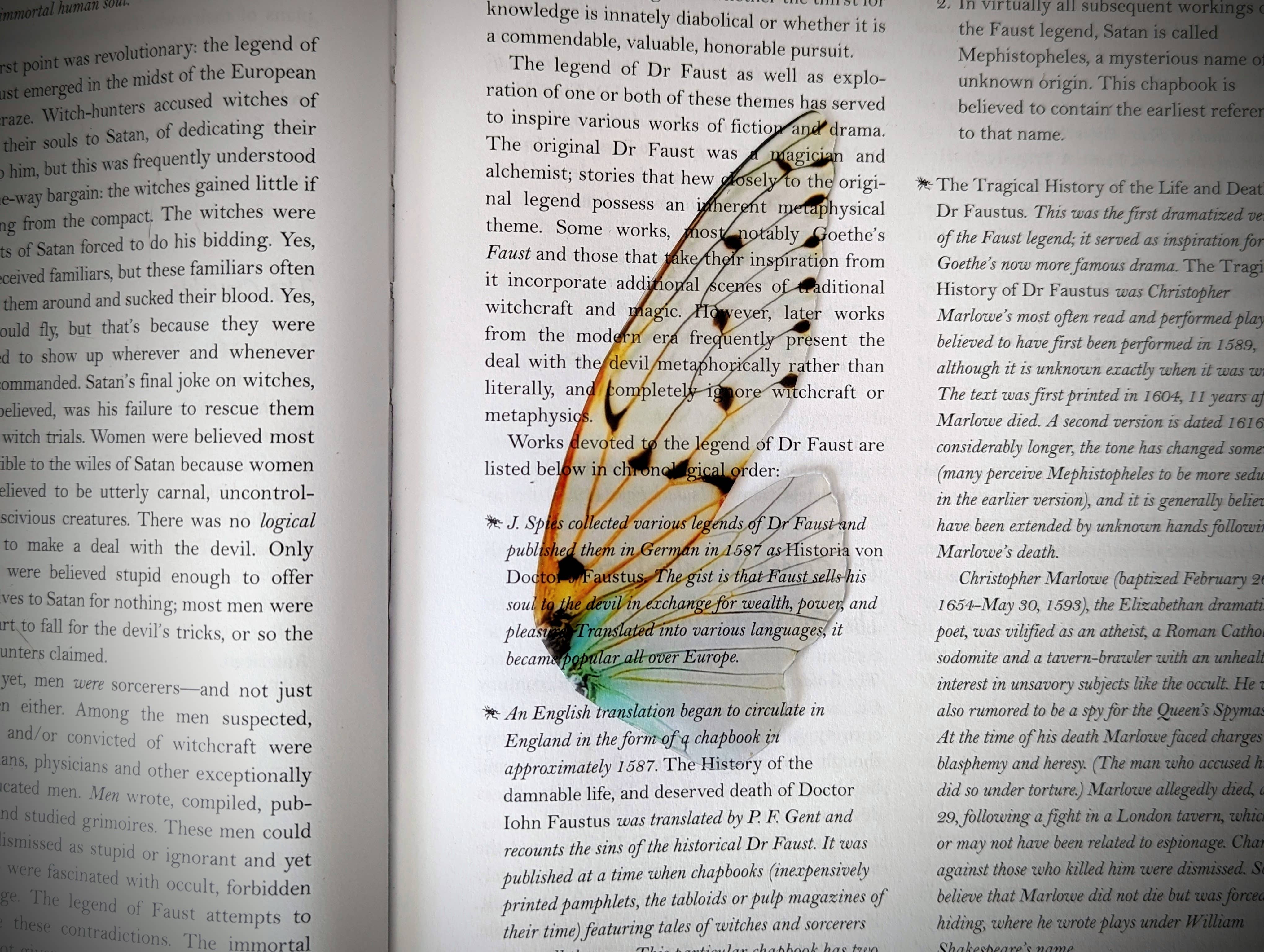 Dark Veinlet - Wholesale Bookmark - Clear Bookmark - Ghost Cicada Wing Cottagecore Dark Academia1