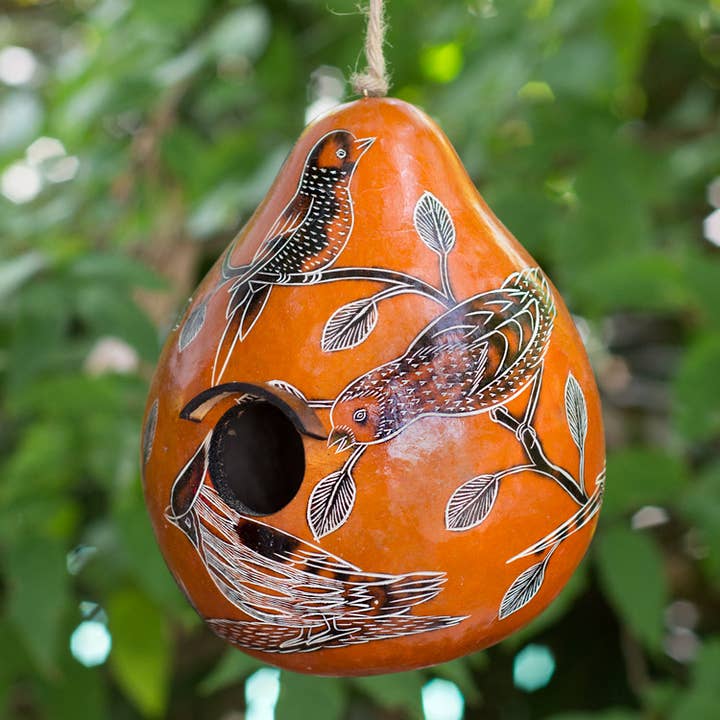 Lucuma Designs – wholesale Bird house – Birds of North America - Gourd Birdhouse - Artist Made