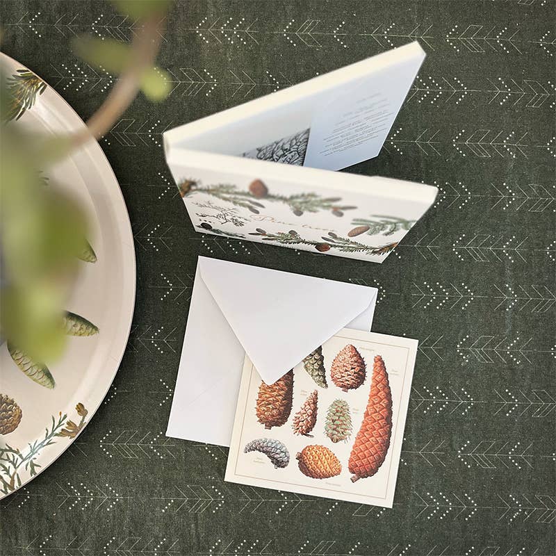 Koustrupco - Wholesale Everyday Greeting Card - Pine trees Square cardfolder w/ 8 cards and envelopes2