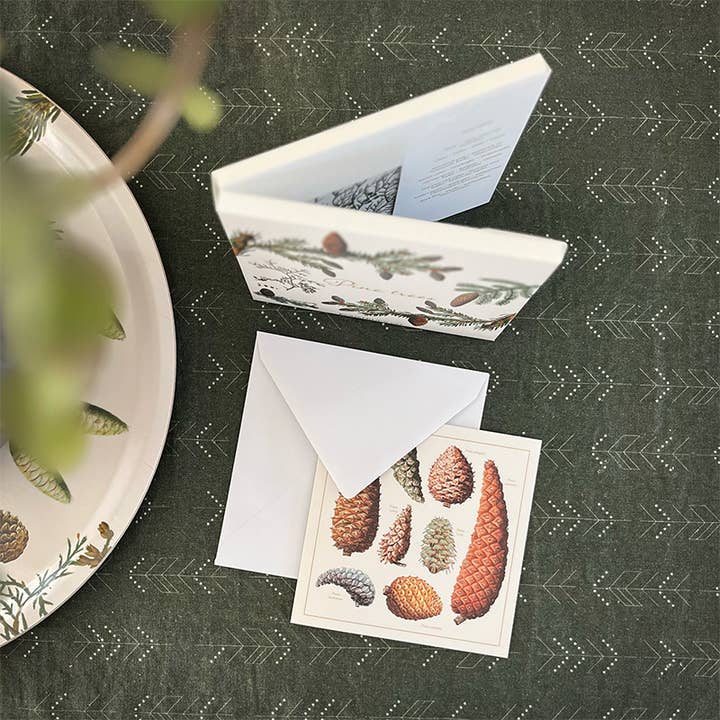 Koustrupco - Wholesale Everyday greeting card - Pine trees Square cardfolder w/ 8 cards and envelopes2