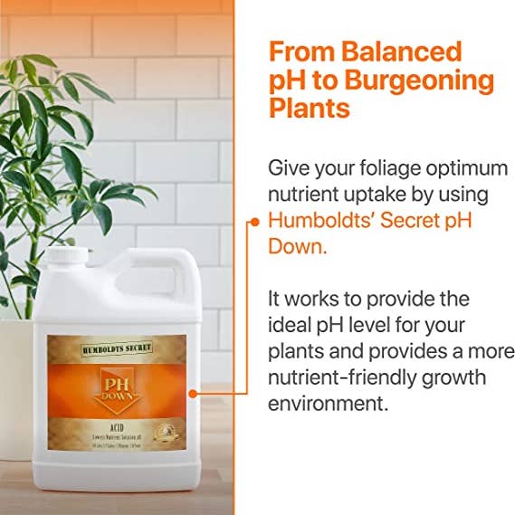Humboldts Secret Supplies - Wholesale Fertilizer - PH Down2