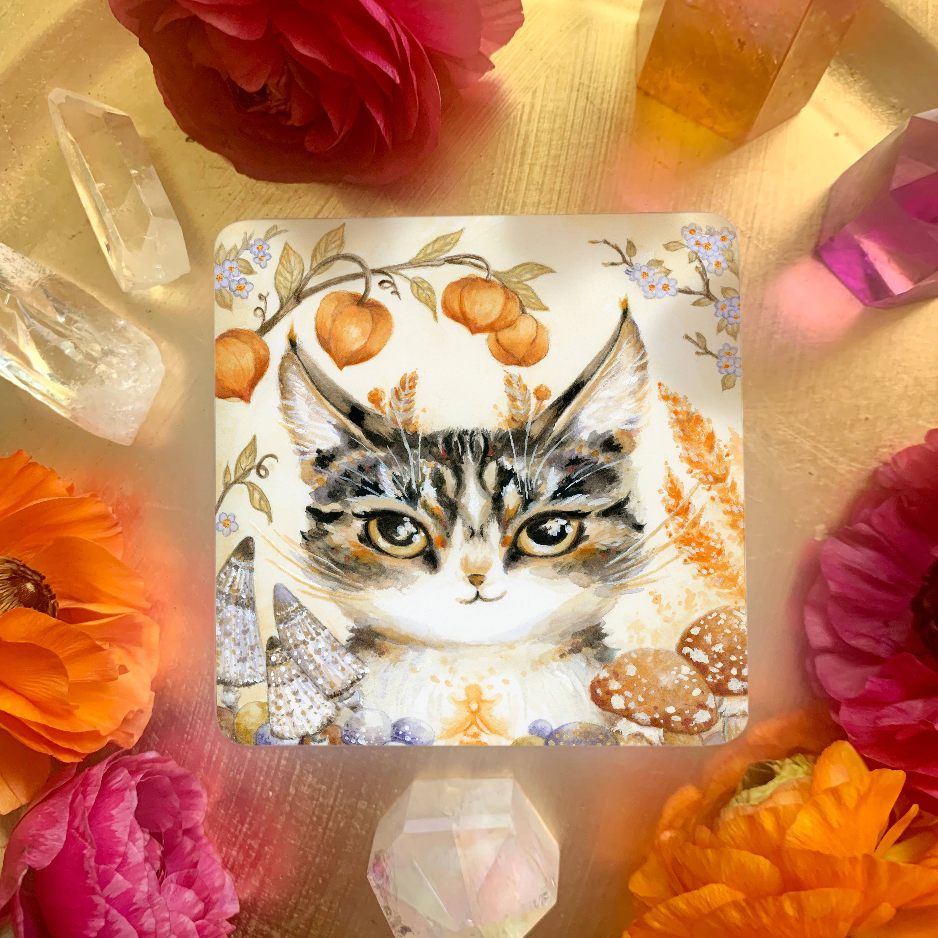 Nicole Piar - Vendita all'ingrosso Tarocchi - Mazzo di Carte Oracolo Witch Cats15