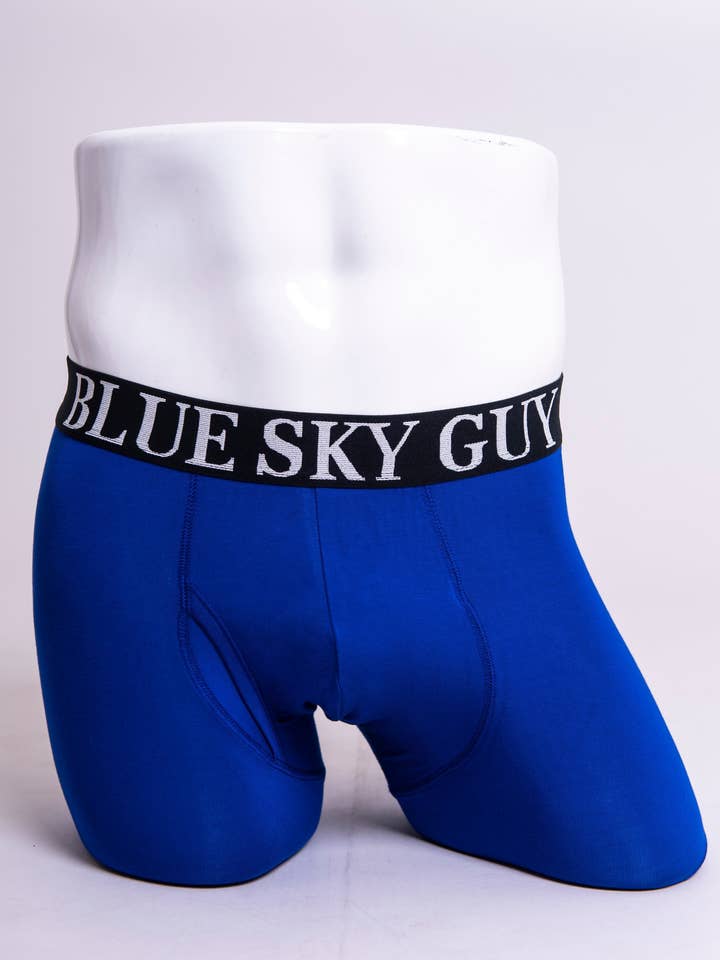 Boxer 2.0, Violet, Bamboo for wholesale by Blue Sky Clothing Co LLC