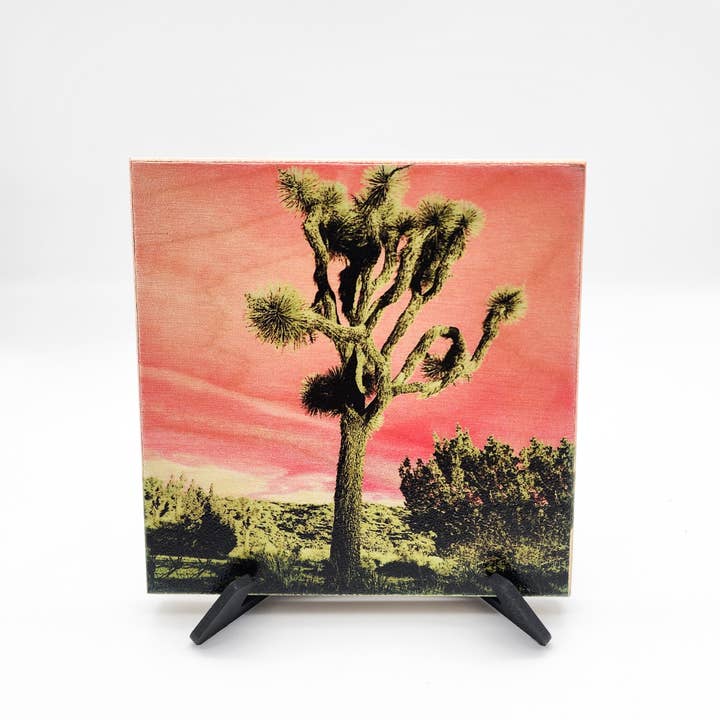 Joshua Tree Pink — Spezialfotodruck aus Holz für den Großhandel von SticksandLasers