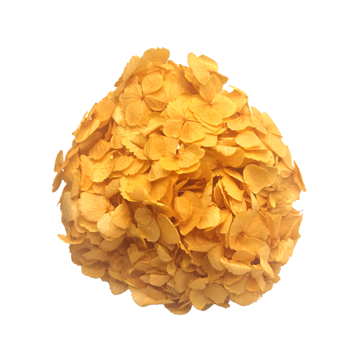 Concari.flores Preservadas - Wholesale Artificial Flowers - PRESERVED HYDRANGEA FLOWER4