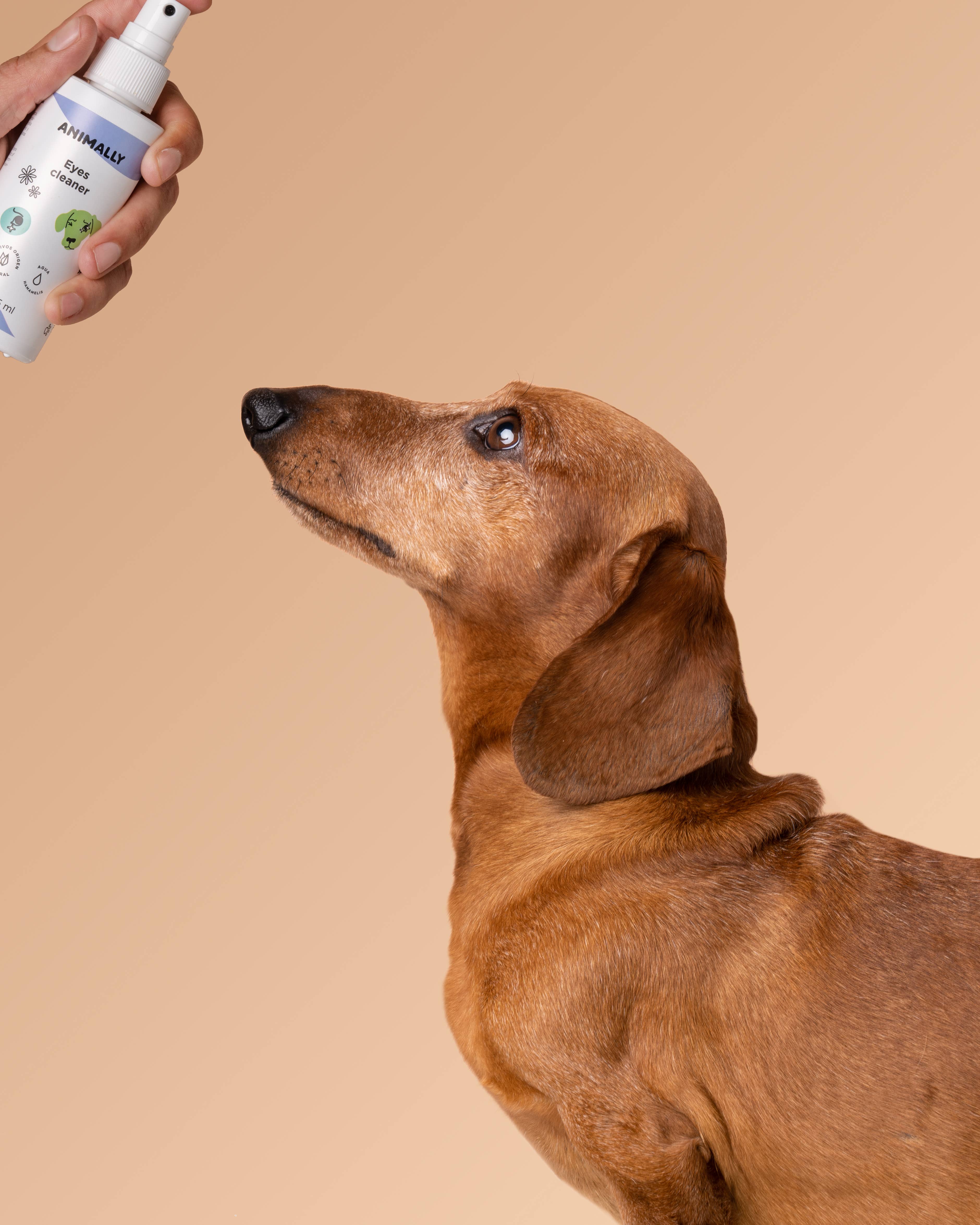 ANIMALLY -  Taking care of your pet's health - - Wholesale Pet Cleaning Supplies - Eyes cleaner 125 ml5