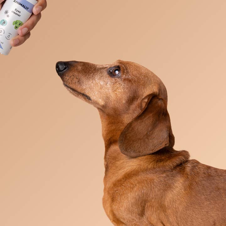 ANIMALLY - Taking care of your pet's health - - Wholesale Pet Cleaning Supplies - Eyes cleaner 125 ml5