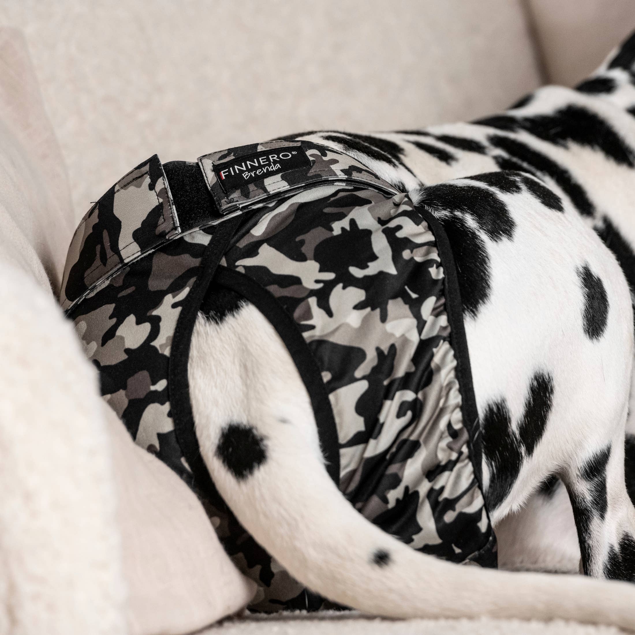 FINNERO - Wholesale Pet Diaper - Dog - FINNERO BRENDA Dog Hygiene pants, 3 colors, Washable Diaper7