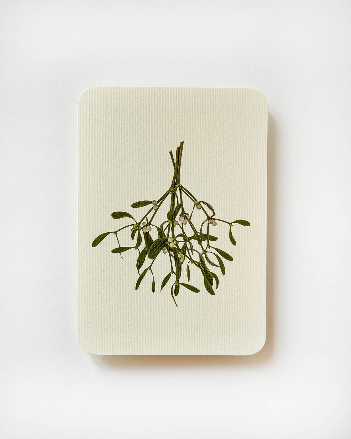 Canonbury Press – wholesale Season’s Greetings card – Mistletoe Christmas Greeting Card | Christmas Card2