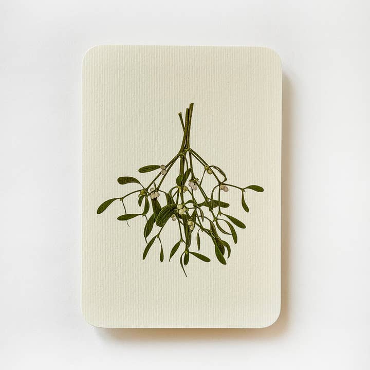Canonbury Press - Wholesale Season's Greetings Card - Mistletoe Christmas Greeting Card | Christmas Card2