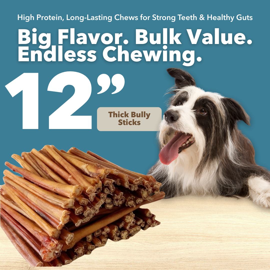 Mighty Chewz - Wholesale Pet Treats - Dog - 12" Thick Bulk Bully Sticks (Case Price: $3.33/Stick)1
