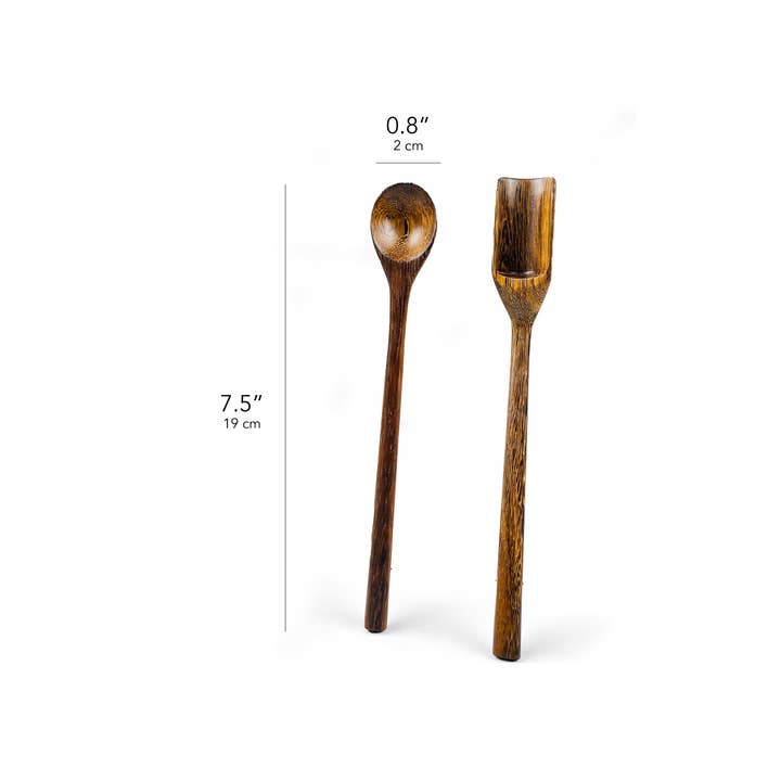 Baroy – Großhandel Kochlöffel – Gewürzschaufel aus Holz, langer Griff, 19 cm, Kaffeelöffel aus Holz
