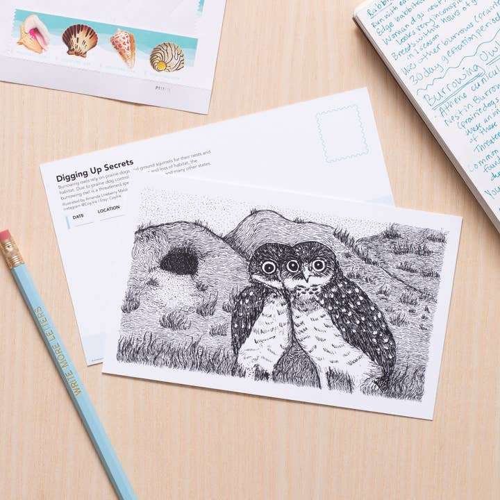 Burrowing Owl Secrets Art for wholesale by Coy Ink Studio