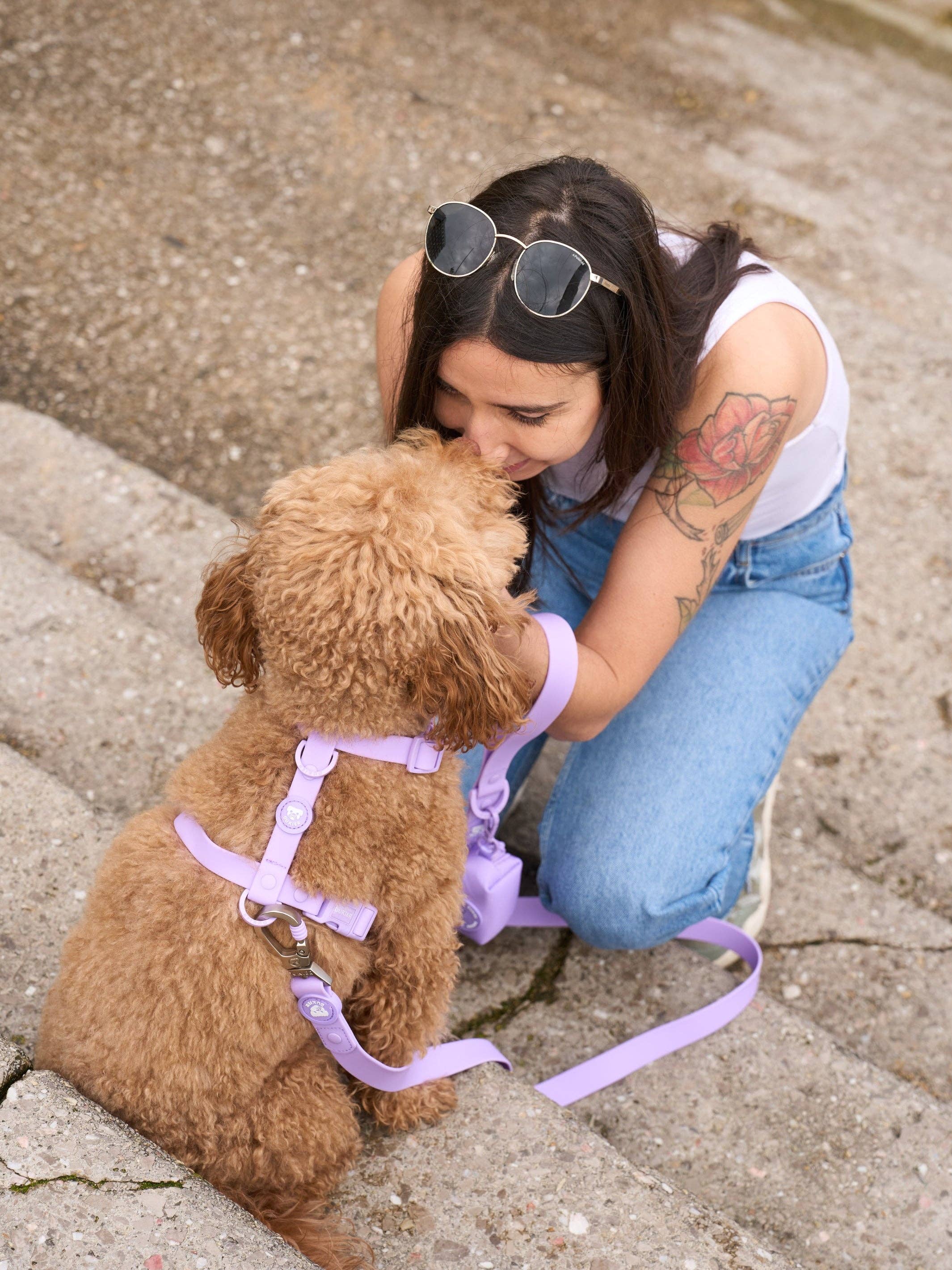 Dukier - Vente Harnais – chien - ARNES IMPERMÉABLE POUR CHIEN VIOLET2