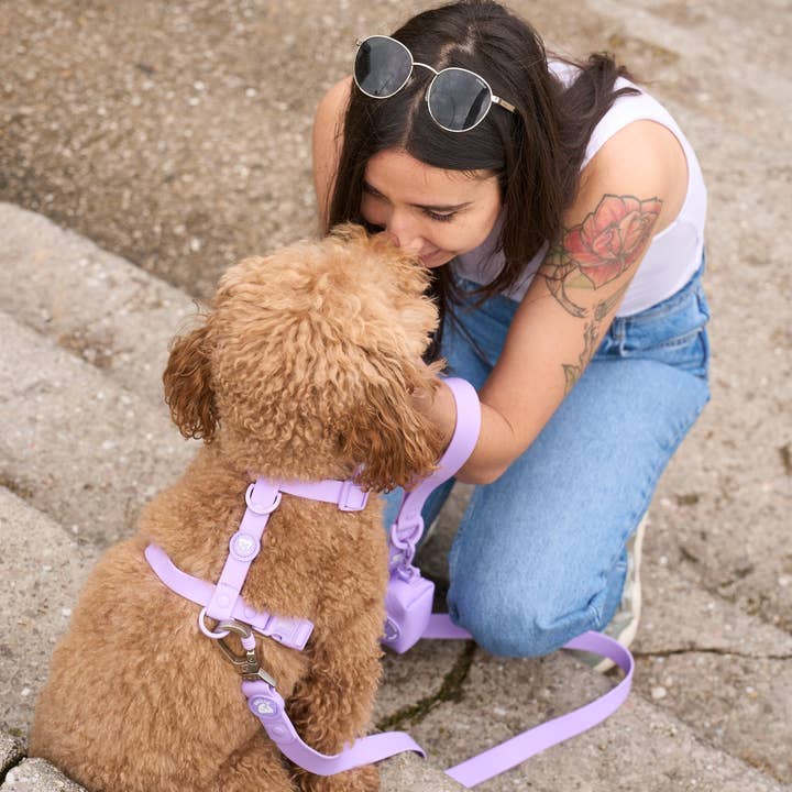 Dukier - Wholesale Pet Harness - Dog - PURPLE WATERPROOF DOG HARNESS2