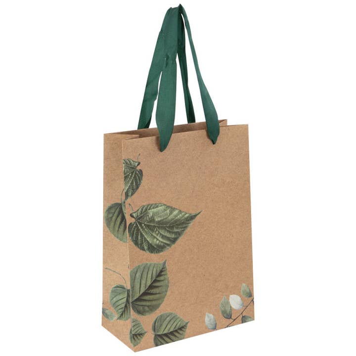 Brown Rectangular Vegetable Carton Bag 19x9x27cm for wholesale on Faire