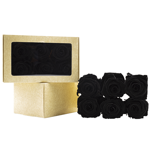 Concari.flores Preservadas - Wholesale Artificial Flowers - SPLENDID ROSE PRESERVED IN VARIOUS SHADES3