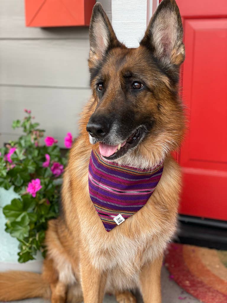 Sam & Nala | intentional style for pets & their people - Vendita all'ingrosso Bandana - Cani - Bandana per cani Lite & Bright tessuta a mano/commercio equo5