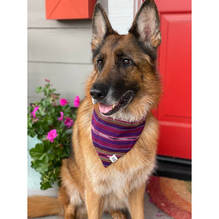 Sam & Nala | intentional style for pets & their people - Vendita all'ingrosso Bandana - Cani - Bandana per cani Lite & Bright tessuta a mano/commercio equo5