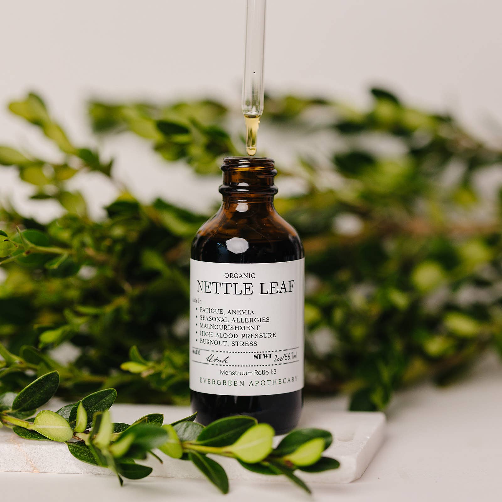 Evergreen Apothecary - Wholesale Tincture - Nettle Leaf Tincture, Herbs for Symptoms No. 102