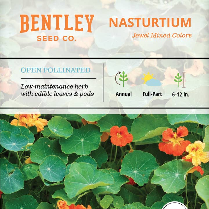 Nasturtium, Jewel Mixed Color Seed Packets and other Purchase Wholesale 6 inch hanging baskets. Free Returns & Net 60 Terms on Faire trending on Faire.