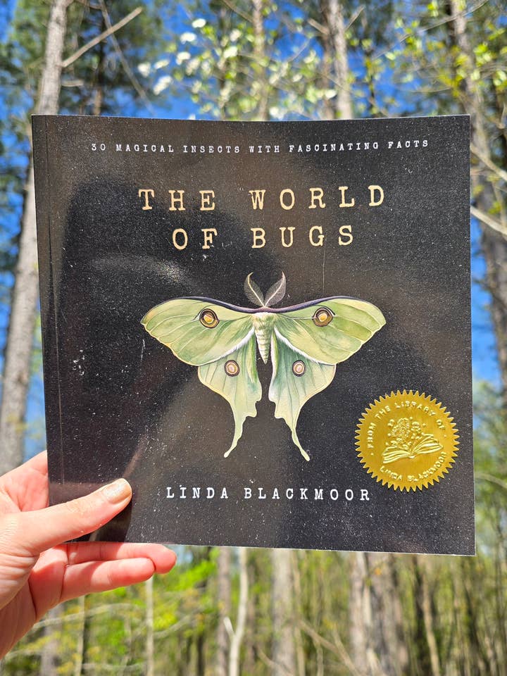 The World of Bugs for wholesale by Author Linda Blackmoor
