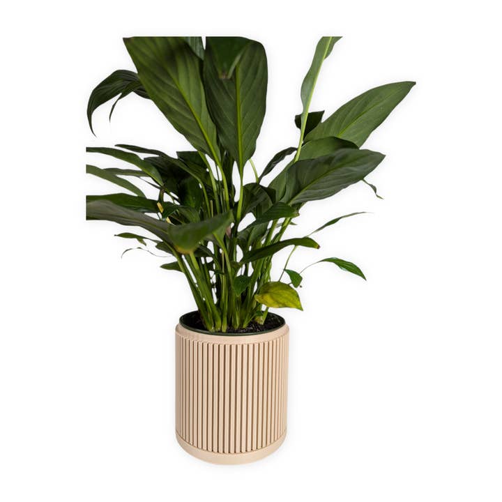 Leafprints.3d - Wholesale Plant Pot - The Willow – 4 Inch Planter with Drip Tray3