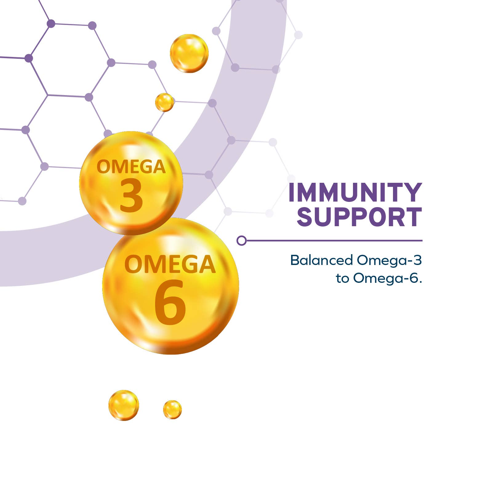 Forza10 Pet Food - Vente Nourriture – chien - FORZA10 DAILYPRO PEAU SENSIBLE PETITE RACE5