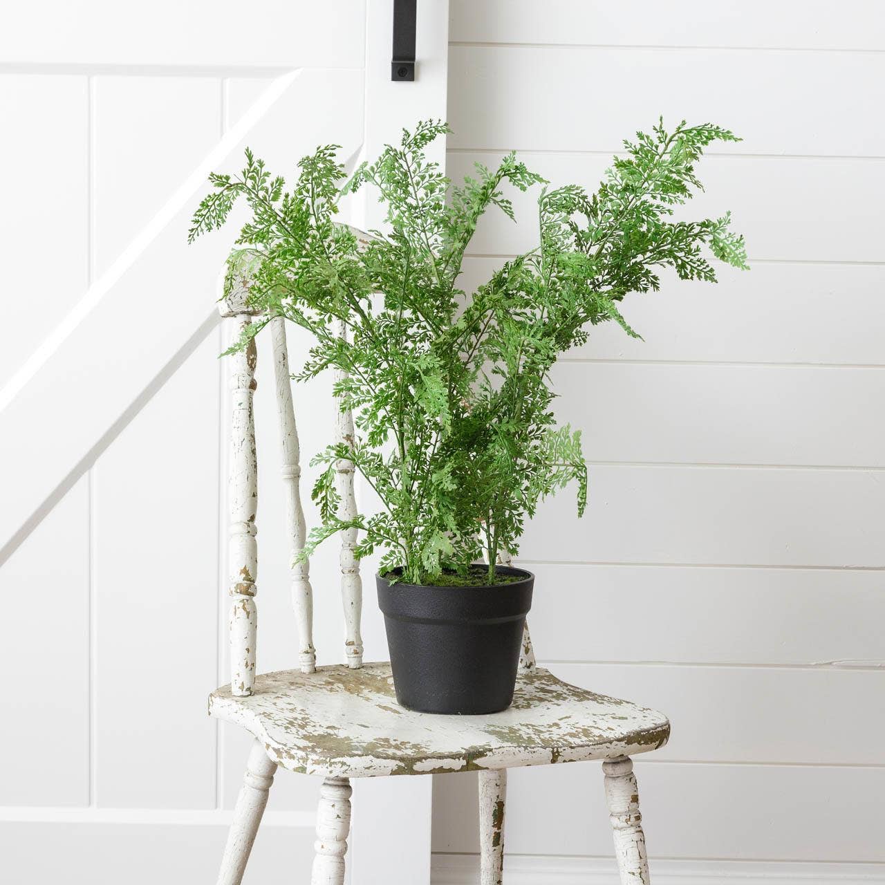 Audrey's Home & Gift - Wholesale Artificial Plant - Potted Maidenhair Fern (PC)2