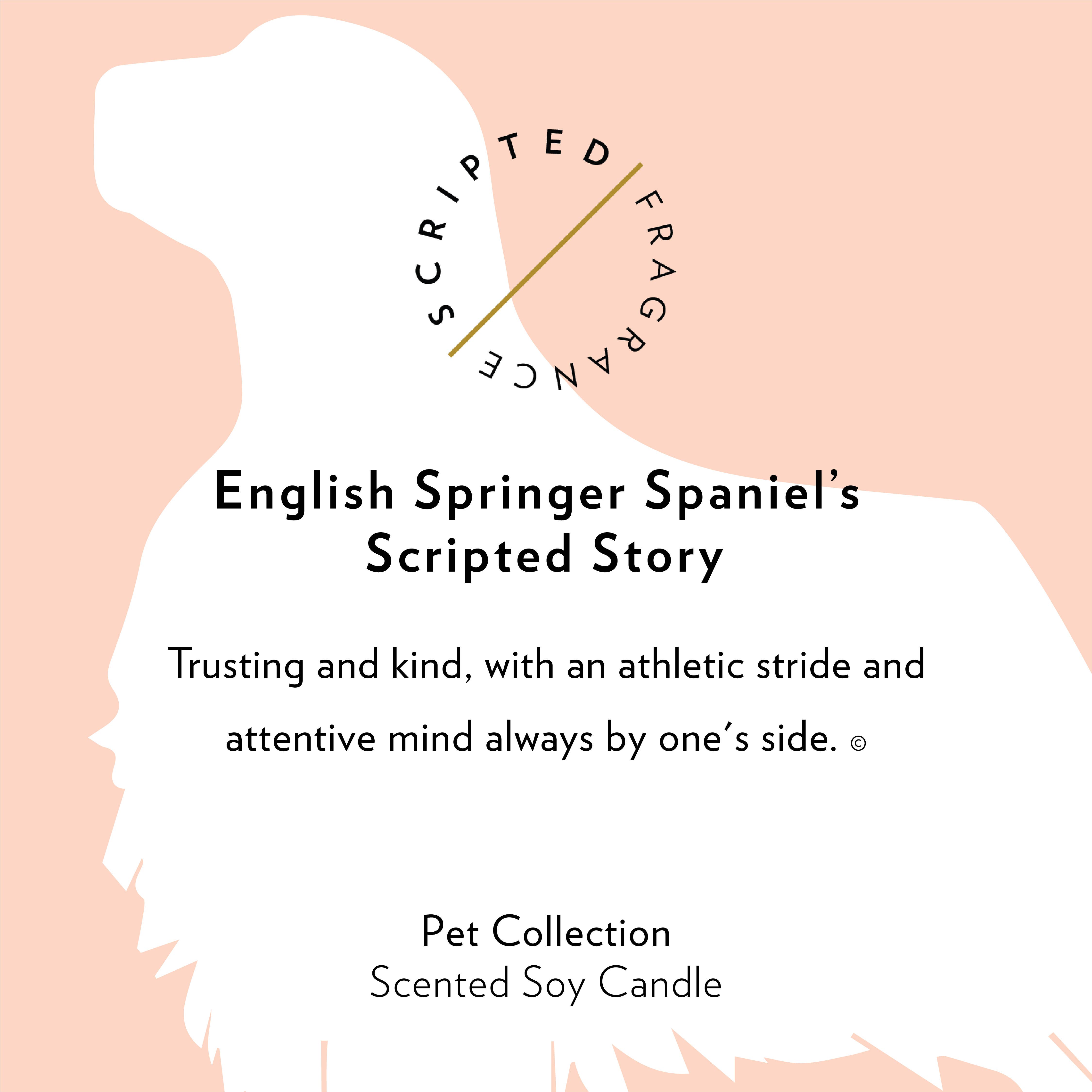 Scripted Fragrance - Wholesale Jar/Filled Candle - English Springer Spaniel Dog Breed Soy Candle7